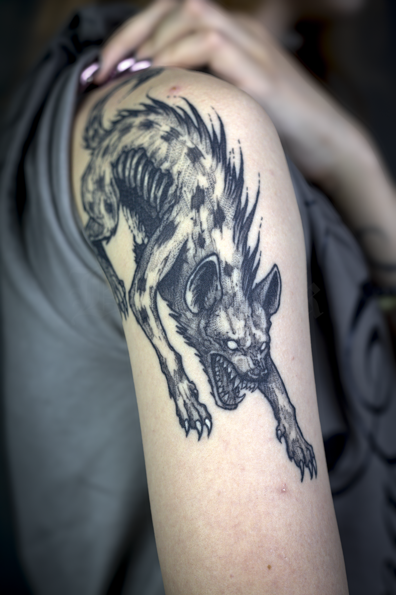 Hyène en brutal (tatouage cicatrisé)